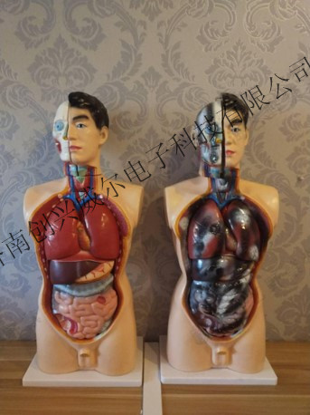 毛发毒品检测仪，毛发检测试剂,物证管理系统，检察院、法院、国安局、涉案财物管理，系统专业厂家，监狱执法证据保全系统，济南创兴威尔电子科技有限公司